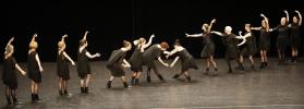 Gala de danse classique adultes 2026 